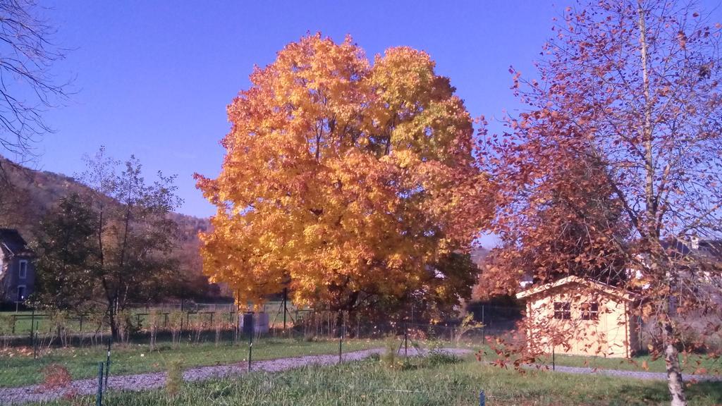 Chalet Domaine Du Hulobiet